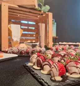 Catering za dogodke in prireditve Osrednja Slovenija
