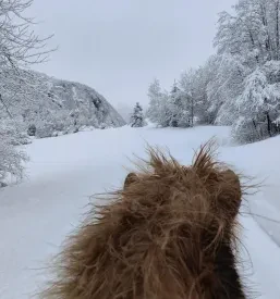 Jahanje na terenu Gorenjska, Slovenija