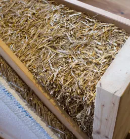 Čudovita slamnata hiša s svetlo fasado, obdana z zelenjem, je odličen primer uporabe obnovljivih in naravnih gradbenih materialov.