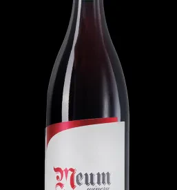 Steklenica Modrega Pinota letnika 2020, ki odraža bogato vinarsko tradicijo in strast do butičnih vin.
