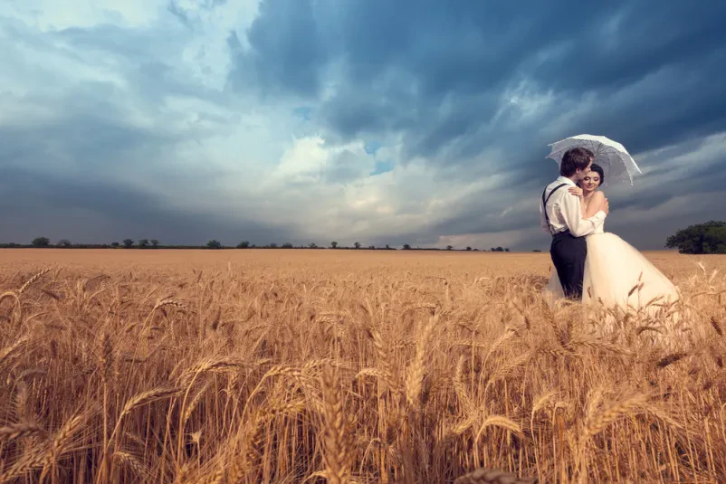 Mladoporočenca se ljubeče poljubljata sredi zlatega pšeničnega polja. Romantična scena, primerna za kakovostno poročno fotografiranje Gorenjska.