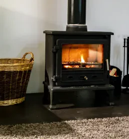 Kamin na drva z modernimi steklenimi vrati in ob njem košara polen, kar zagotavlja varno in učinkovito ogrevanje.