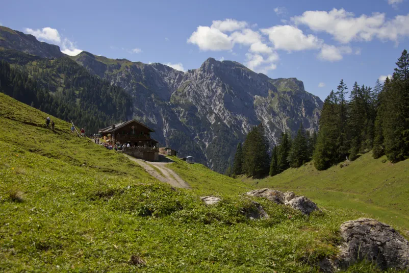 Klasična planinska koča na prostranem zelenem alpskem pašniku, obdana z mogočnimi gorami. Popolna za najem hiše za 4 osebe Bovec, okolica, ki želijo raziskovati naravo.