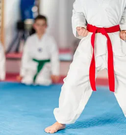 Otrok v kimonu stoji v dinamični borbeni pozi taekwondoja. Prikazana je disciplina in osredotočenost, ki sta pomembni za ta šport.