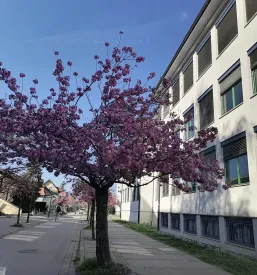 Vpis na izobraževanje odraslih in dijaški dom Celje
