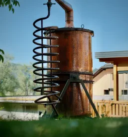 Eterična olja za aromaterapijo