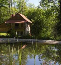 Cabin in the woods Kočevje