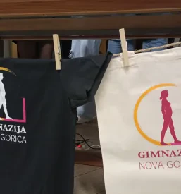 Likovna gimnazija