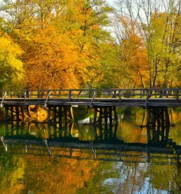 Turistično vodenje Dolenjska