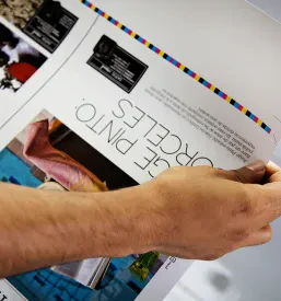 Grafična dodelava Goriška