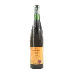 Arhivska vina