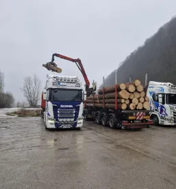 Razrez lesa po meri Šoštanj