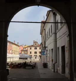 Mesne jedi z žara Koper