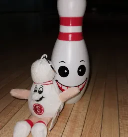 Bowling za zaključene družbe Postojna