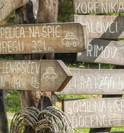Urejena ulica v središču Šalovcev, obrobljena z drevesi in čistimi pločniki, kar ustvarja prijetno okolje za vse.