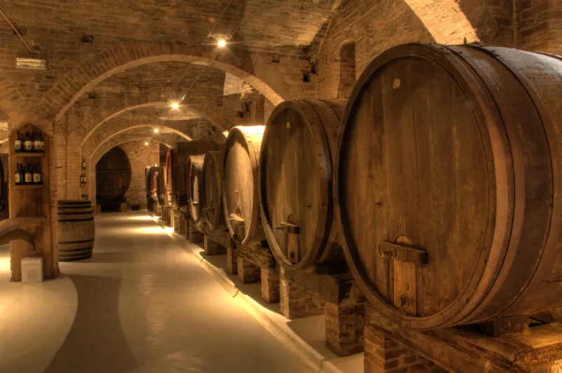 Zgodovinska vinska klet z velikimi sodi Prostorna in impresivna vinska klet s številnimi lesenimi sodi, ki pričajo o bogati zgodovini vinogradništva in tradicije.