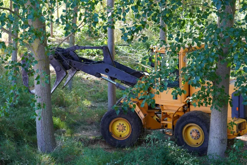 Strojnik nalaga in sortira lesene hlode v gozdu Operater težkega gozdarskega stroja skrbno nalaga in sortira sveže posekane hlode, pripravljene za nadaljnjo obdelavo.
