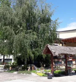 Dijaki so zbrani okoli gredice na šolskem vrtu. Sodelujejo pri sajenju in spoznavajo pomen ekologije.