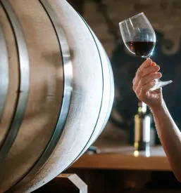Vinski strokovnjak s kozarcem rdečega vina v roki pregleduje barvo in čistost pijače v temni vinski kleti, obdani z lesenimi sodi.