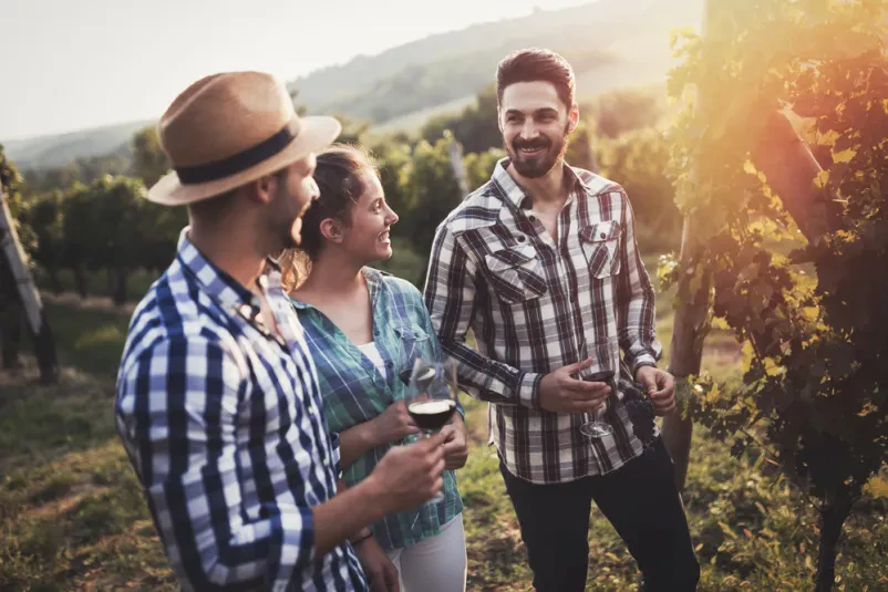 Veseli ljudje ob degustaciji vina Skupina veselih prijateljev uživa v sproščeni degustaciji vina med slikovitimi vrstami v vinogradu, doživljajoč Turistične dogodke in prireditve Moravske Toplice, Prekmurje.