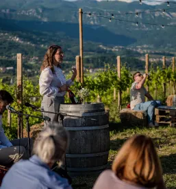 Vino Dobravlje, Ajdovščina