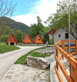 Camp and bar Goriška