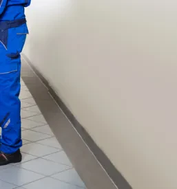 Vzdrževanje objektov Koper, Obala, Primorska