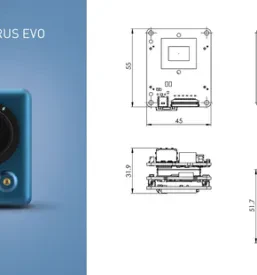 machine vision application cameras USA