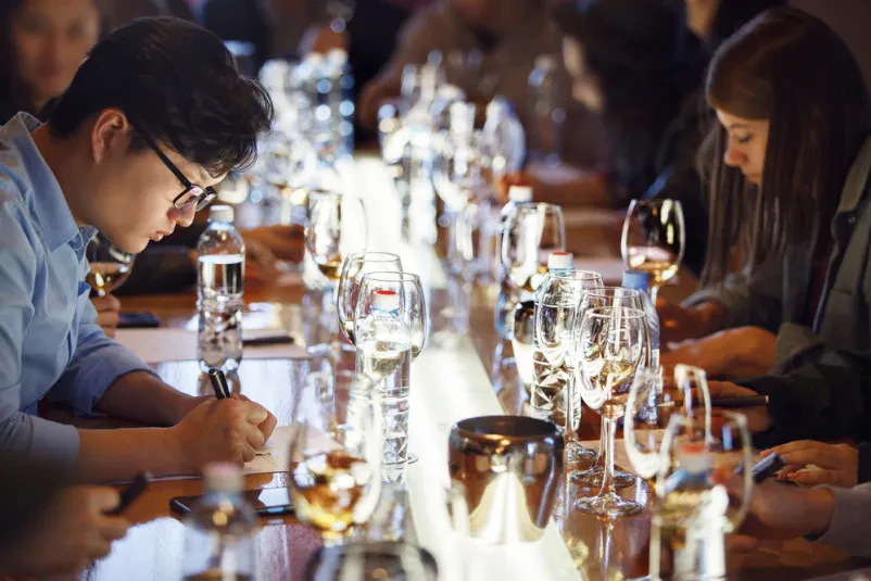 Sommelierji na strokovnem izobraževanju Skupina profesionalnih sommelierjev se osredotoča na ocenjevanje različnih vin med izobraževanjem, skrbno si zapisujejo opombe. Takšna strokovna predavanja o vinogradništvu so ključna za poglabljanje znanja.