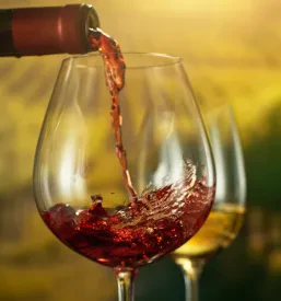 Rdeče vino se elegantno toči v kozarec, v ozadju pa se razprostira sončen vinograd in del vinske kleti. Prikazuje potek pridelave vina in naravno okolje.