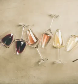 Kozarci rdečega, rose in belega vina, skupaj z odpirači za zamaške, so postavljeni na elegantni sivi podlagi. Slika poudarja raznolikost vin, ki so na voljo za pokušino.