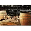 Vinogradniško sadjarsko društvo Turnišče