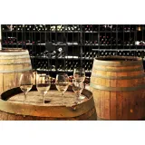 Vinogradniško sadjarsko društvo Turnišče