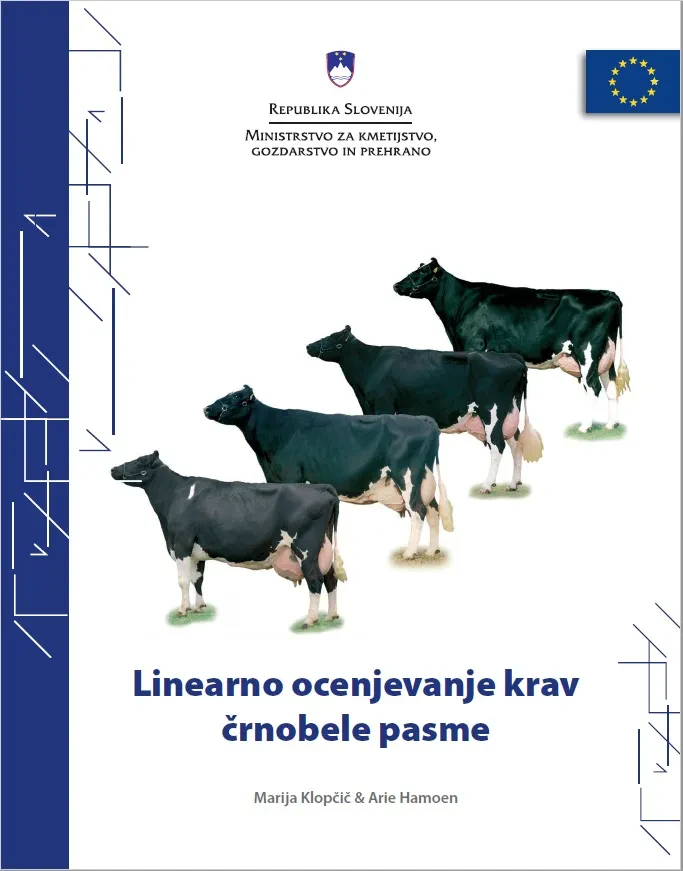 Črnobeli bik visoke plemenske vrednosti Miren črnobeli bik na razstavi, ki prikazuje izjemno genetiko in kakovost pasme Holstein.