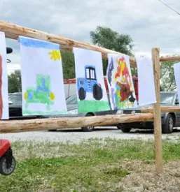 Ena črnobela krava stoji na zelenem pašniku, kar kaže na mirno živinorejo v naravnem okolju.