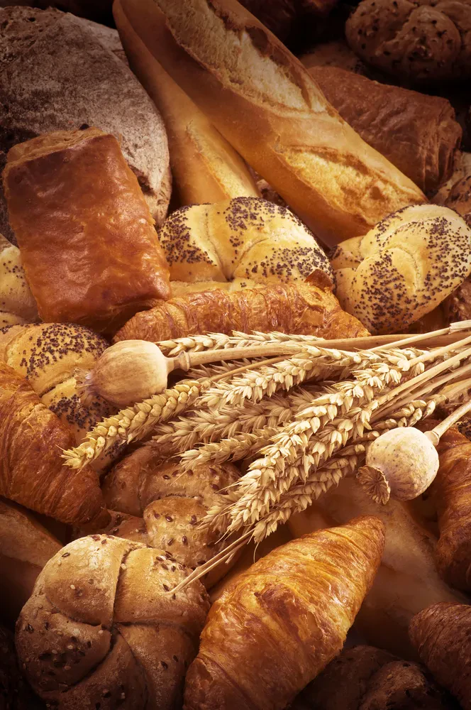 Raznolikost svežega kruha in peciva Sveže pečen kruh in pecivo, vključno z rogljički in žemljicami, so razporejeni na belem ozadju. Vabljiva svežina.