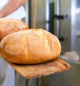 Izkušen pek v predpasniku nadzoruje peko kruha v peči. Prikaz tradicionalnega procesa peke za hrustljav in okusen kruh.