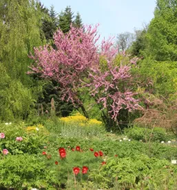 Čudovit razgled na Botanični vrt v Idriji, poln cvetja in zelenja, poudarja bogato naravno dediščino območja.
