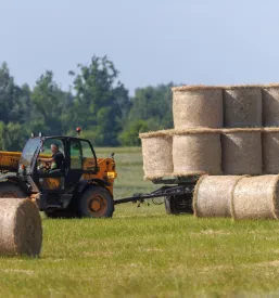 JCB telehandler prevaža velike okrogle bale sena čez zelena kmetijska polja in podeželske ceste med poletno spravilom sena.