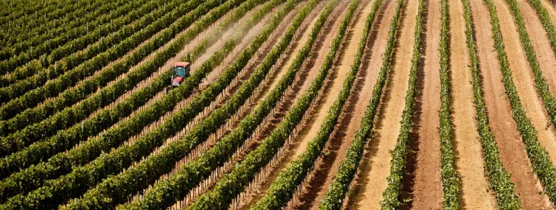 Traktor na polju z vrstami rastlin Panoramski pogled na traktor, ki orje obsežno kmetijsko polje, kjer so vidne urejene vrste rastlin. Scena prikazuje sodobno kmetovanje in skrb za zemljo.