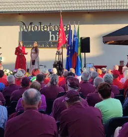 Društvo ljubiteljskih vinogradnikov Mirna Peč, Dolenjska