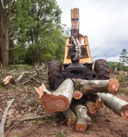Spravilo lesa Jezersko, Gorenjska