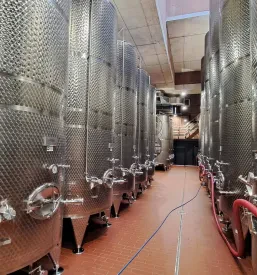 Vinogradniki Mirna Peč