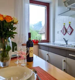 Apartmajske nastanitve Bovec