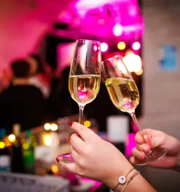Promocija belokranjskega vina Črnomelj