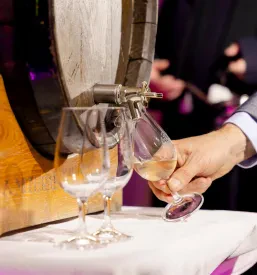 Promocija vin iz Bele krajine po Sloveniji
