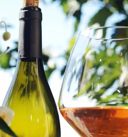 Flaša vina na mizi v naravi, poleg je kozarec, v katerem je vino. V ozadju se vidi listje z drevesa.