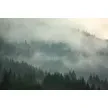 Turistična kmetija pr’ Brčnk