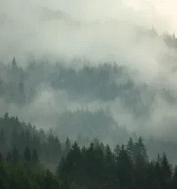 Ugodna domača hrana Kranj