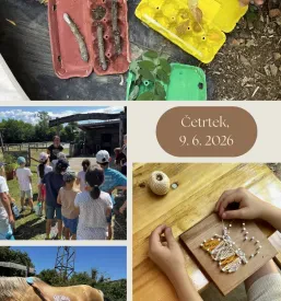 Poletni tabori za otroke Nova Gorica, Goriška